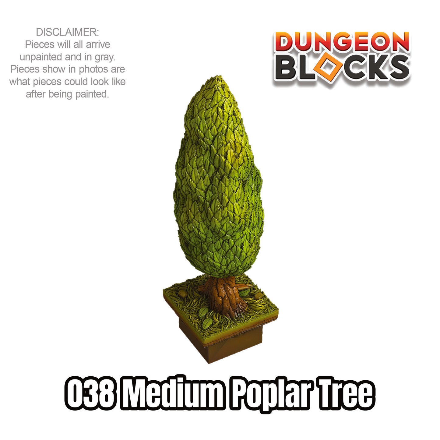 Medium Poplar Tree