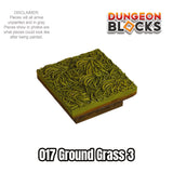 Ground Grass 3