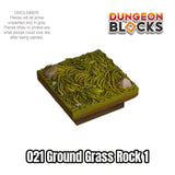 Ground Grass Rock 1