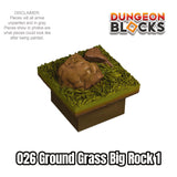 Ground Grass Big Rock 1