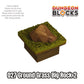 Ground Grass Big Rock 2