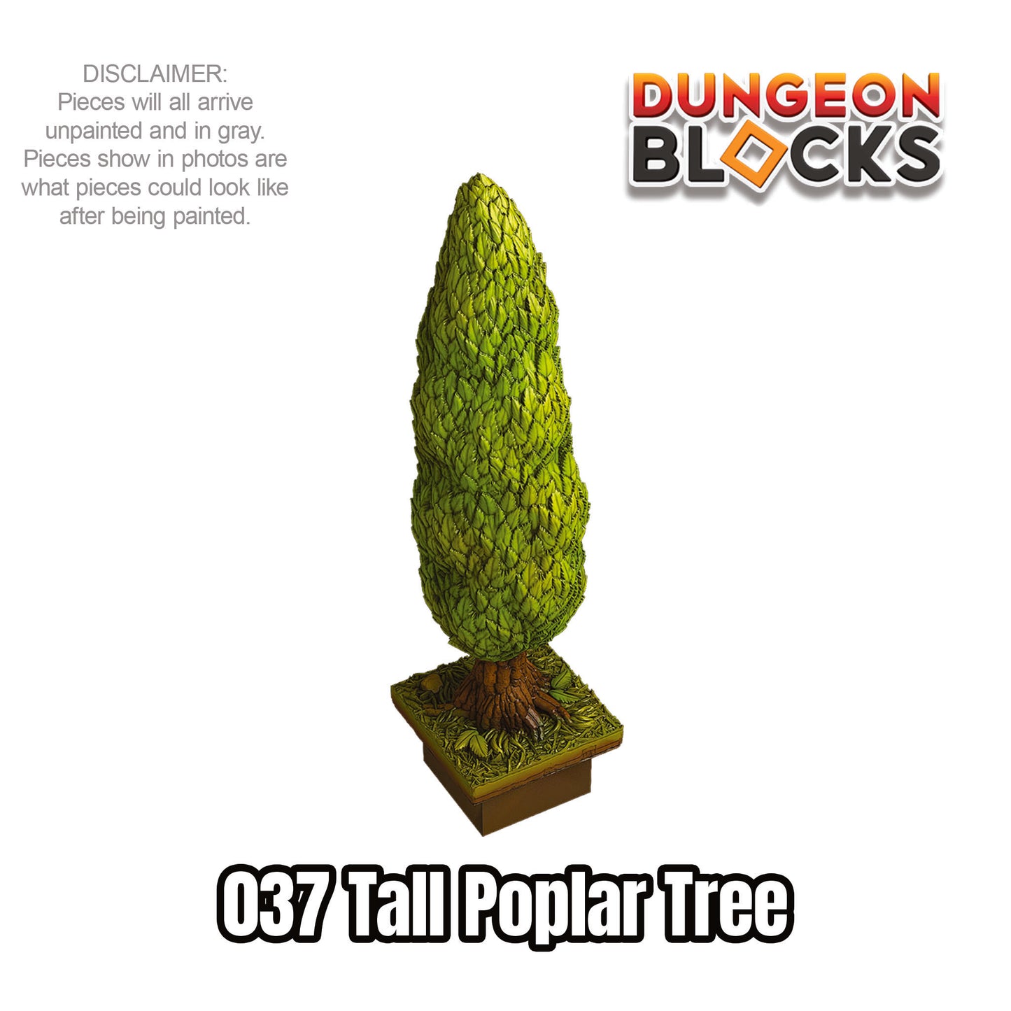 Tall Poplar Tree