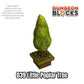 Little Poplar Tree