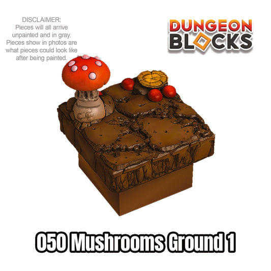 Mushrooms Ground 1