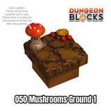 Mushrooms Ground 1