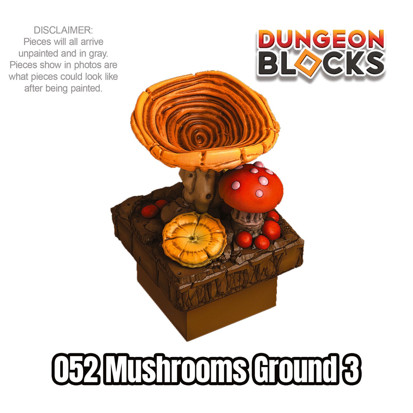 Mushrooms Ground 3