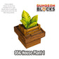 House Plant 1