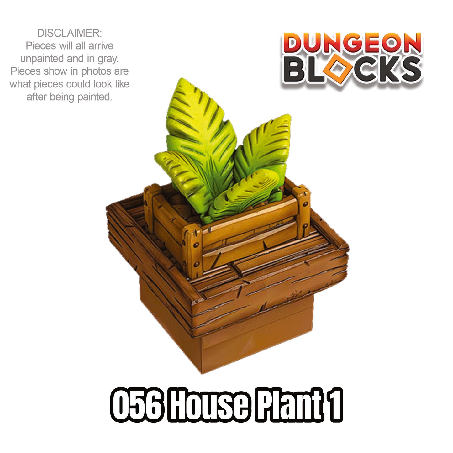 House Plant 1