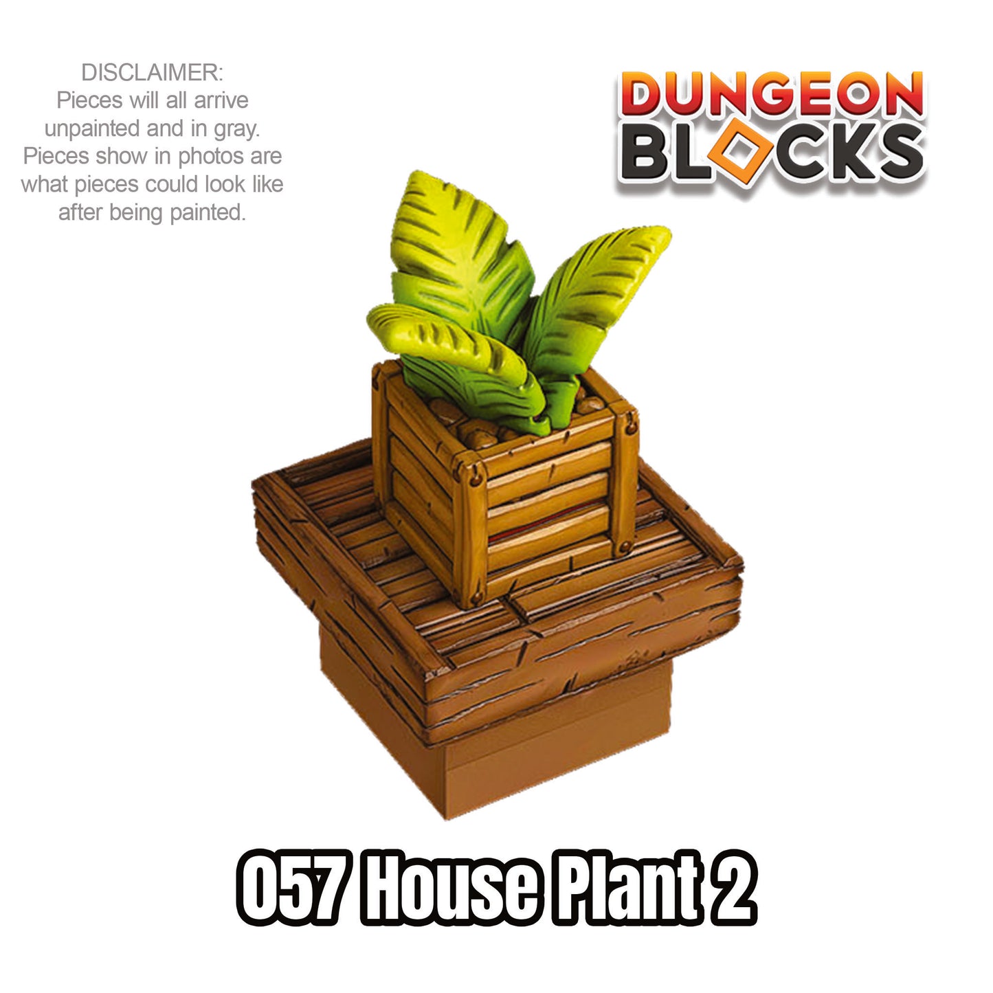 House Plant 2