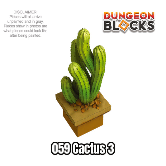 Cactus 3