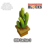 Cactus 3