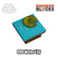 Water Lily