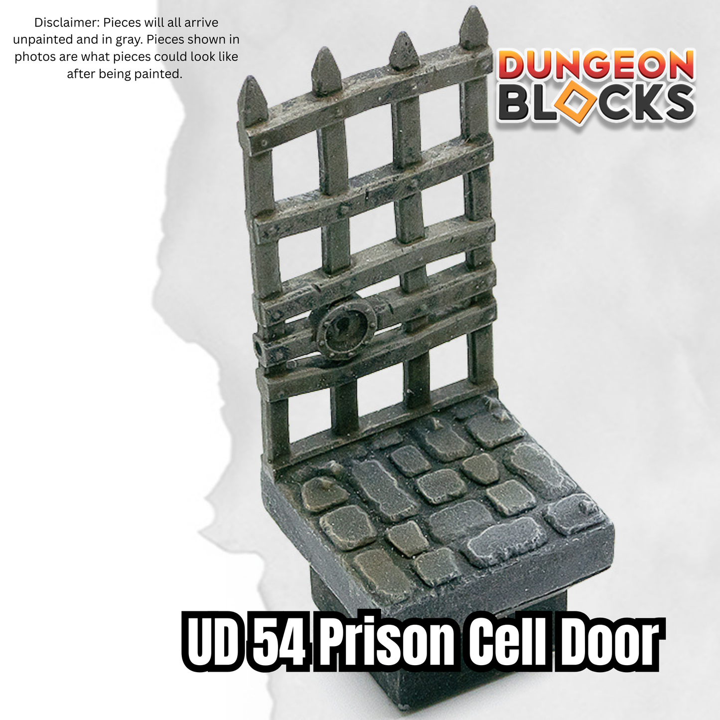 Prison Cell Door