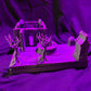 Dice-Rolled Modular Build – First Roll Configuration